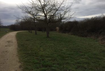 Projektnummer 03-2019 – Hochheim/Flörsheim