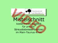 Mistelschnitt in schwindelnder Höhe