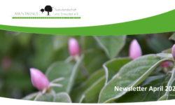 Newsletter April 2023