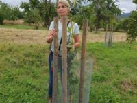 Vortrag mit der Streuobst-Expertin Barbara Helling