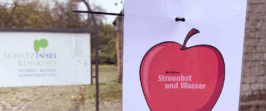 Workshop: Wie kommt das Wasser an den Baum – Regionalpark RheinMain